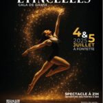 Gala de danse 2025 - Fontete